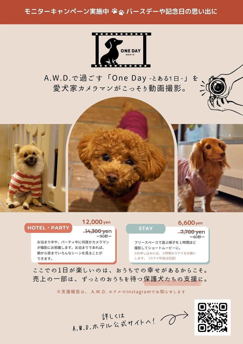 ONE DAY とある1日